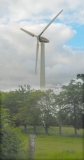 Vindmøllen Højgaard